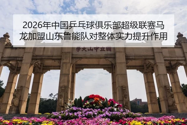2026年中国乒乓球俱乐部超级联赛马龙加盟山东鲁能队对整体实力提升作用